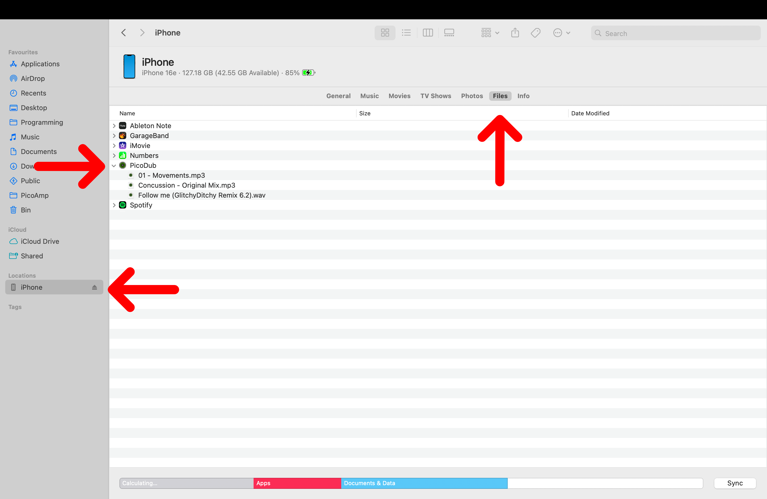 Finder file sharing - PicoDub