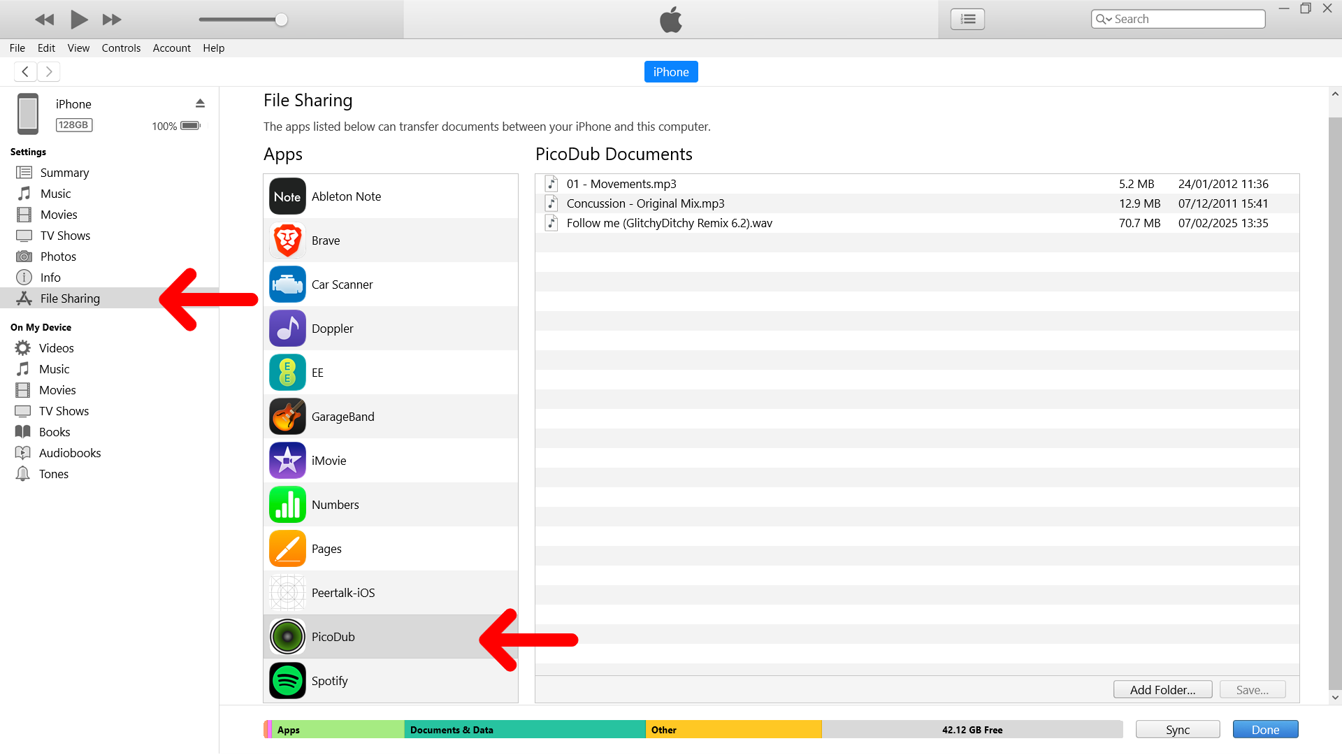 File Sharing - PicoDub